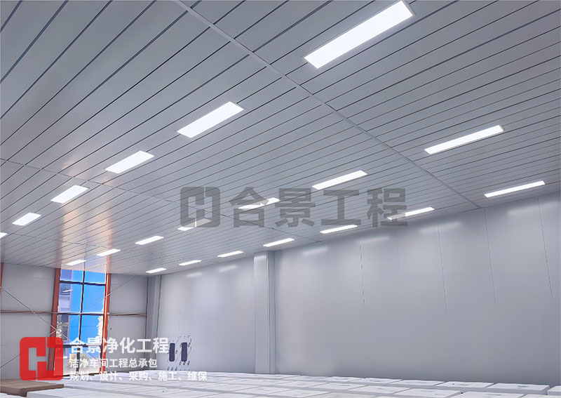 鋰電池?zé)o塵車間廠房建設(shè) 鋰電池?zé)o塵車間廠房建設(shè)